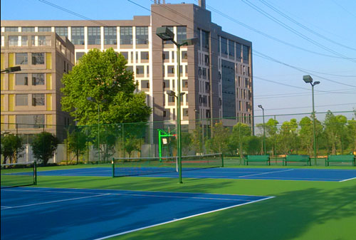 惠州龙光地产丙烯酸篮球场网球场